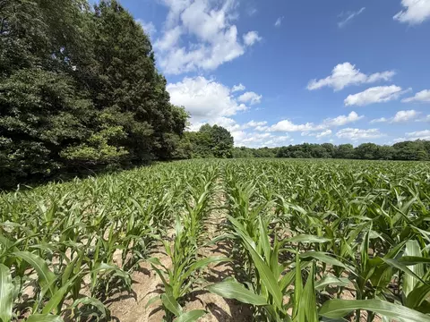 Other - 0 Landmark Rd, Iuka, IL 62899 photo 10 of 25