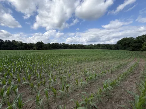 Other - 0 Landmark Rd, Iuka, IL 62899 photo 7 of 25