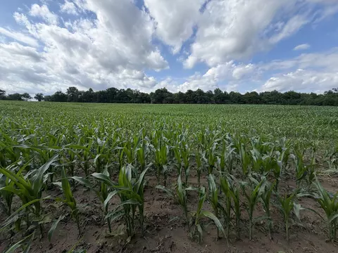 Other - 0 Landmark Rd, Iuka, IL 62899 photo 13 of 25