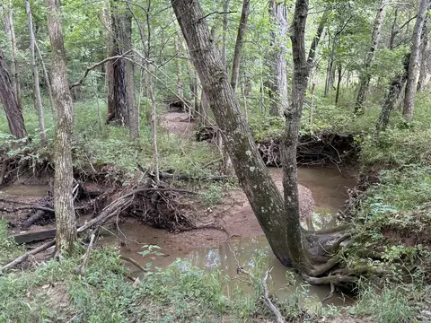Other - 0 Landmark Rd, Iuka, IL 62899 photo 18 of 25