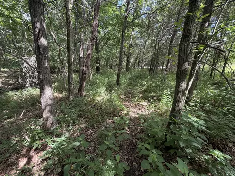Other - 0 Landmark Rd, Iuka, IL 62899 photo 20 of 25