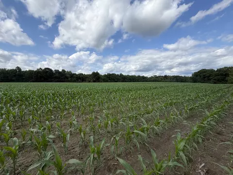 Other - 0 Landmark Rd, Iuka, IL 62899 photo 8 of 25