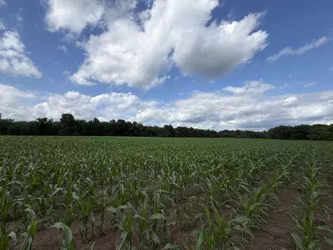 Other - 0 Landmark Rd, Iuka, IL 62899 photo 11 of 25