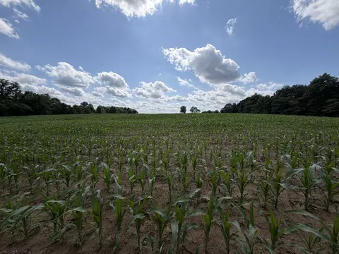 Other - 0 Landmark Rd, Iuka, IL 62899 photo 6 of 25
