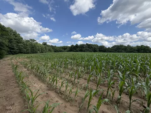 Other - 0 Landmark Rd, Iuka, IL 62899 photo 12 of 25
