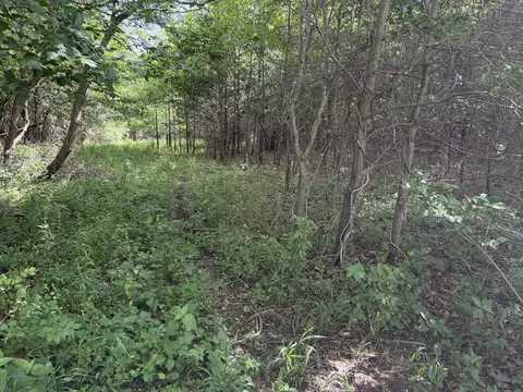 Other - 0 Landmark Rd, Iuka, IL 62899 photo 23 of 25