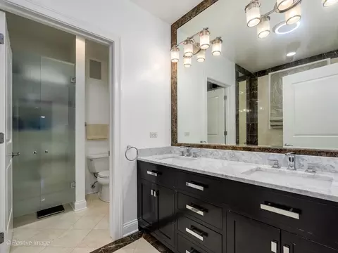 Bath - 1456 S Emerald Ave, Chicago, IL 60607 photo 2 of 5