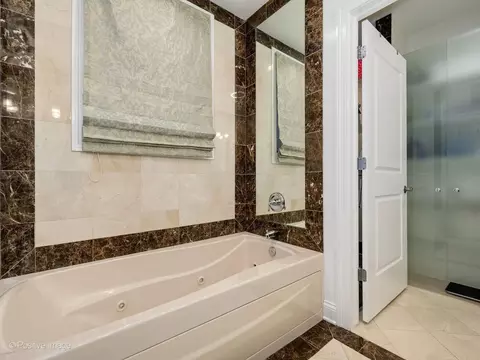 Bath - 1456 S Emerald Ave, Chicago, IL 60607 photo 3 of 5