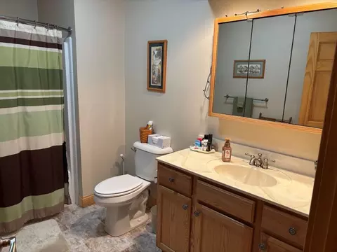 Bath - 3053 E 1900 North Rd, Sheldon, IL 60966 photo 1 of 5