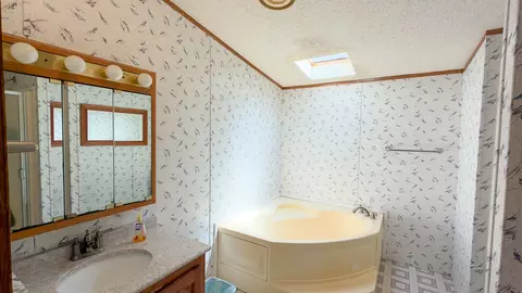 Bath - 301 Oak St, Minonk, IL 61760 photo 3 of 6