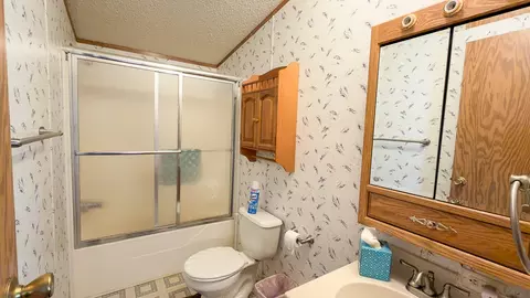 Bath - 301 Oak St, Minonk, IL 61760 photo 1 of 6