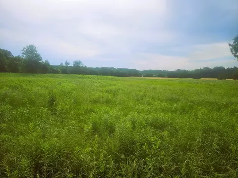 0000 N Stanford Ln, Opdyke, IL 62872
