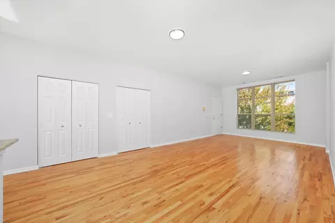 Living - 317 E 25th St #3E, Chicago, IL 60616 photo 6 of 7