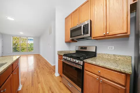 Kitchen - 317 E 25th St #3E, Chicago, IL 60616 photo 4 of 5