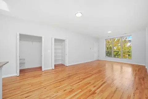 Living - 317 E 25th St #3E, Chicago, IL 60616 photo 5 of 7
