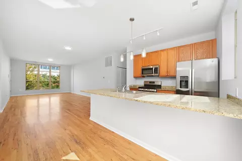 Living - 317 E 25th St #3E, Chicago, IL 60616 photo 7 of 7