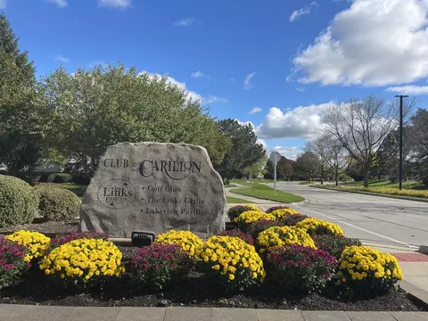 View/Area - 20838 W Peppertree Ct, Plainfield, IL 60544 photo 3 of 3