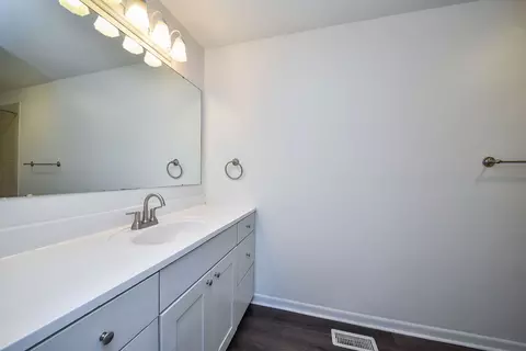 Bath - 1696 Darwin Ct, Wheaton, IL 60189 photo 1 of 1