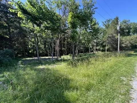 lot1309 And 1310 Lakeshore Dr S, Goreville, IL 62959