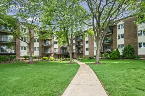 1200 W Northwest Hwy #109, Mount Prospect, IL 60056