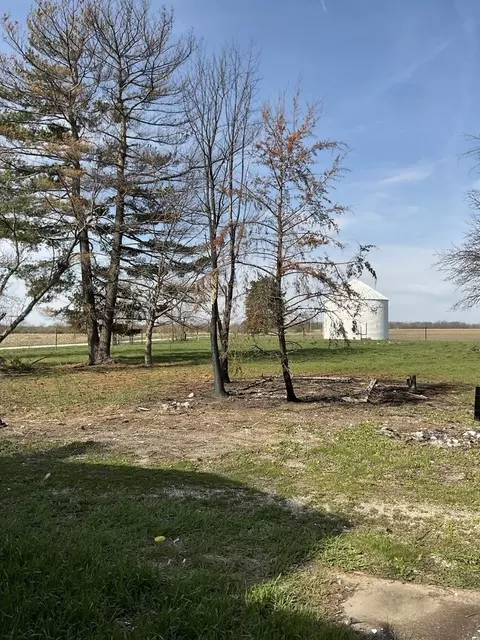 Exterior - 8809 E 3100 North Rd, Potomac, IL 61865 photo 1 of 8