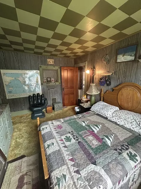 Bedroom - 108 S Gray St, Sidell, IL 61876 photo 3 of 7