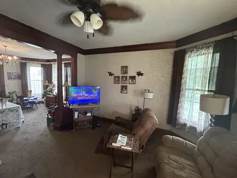 Living - 108 S Gray St, Sidell, IL 61876 photo 4 of 4