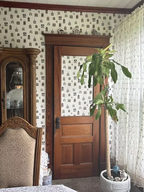 Entry Way - 108 S Gray St, Sidell, IL 61876 photo 6 of 16