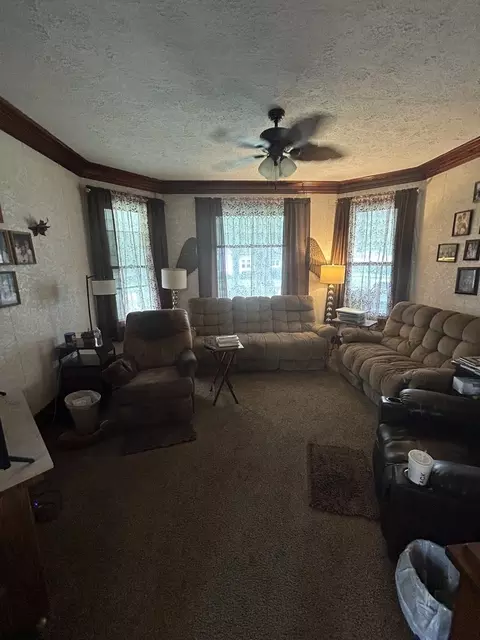 Living - 108 S Gray St, Sidell, IL 61876 photo 2 of 4