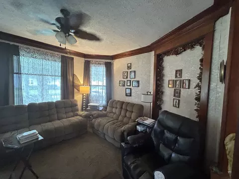 Living - 108 S Gray St, Sidell, IL 61876 photo 3 of 4