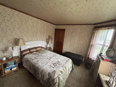 Bedroom - 108 S Gray St, Sidell, IL 61876 photo 6 of 7