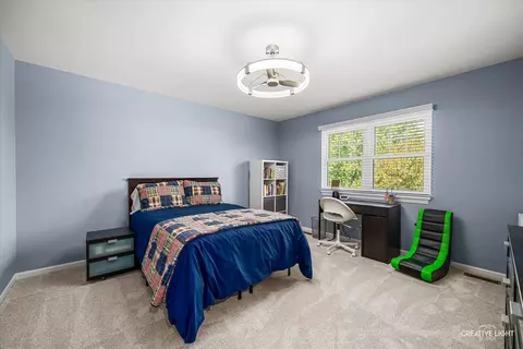 2124 Wicklow Rd, Naperville, IL 60564 photo 25