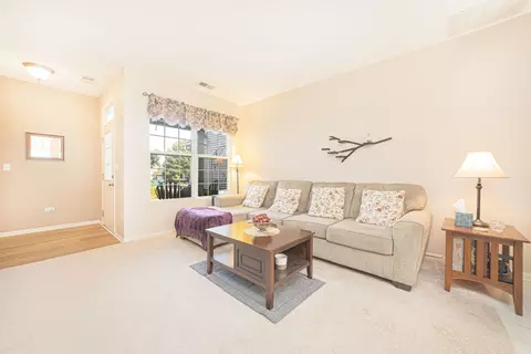 Living - 24090 W Pear Tree Cir, Plainfield, IL 60585 photo 1 of 2