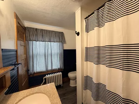 Bath - 217 W Chestnut St, Compton, IL 61318 photo 3 of 3