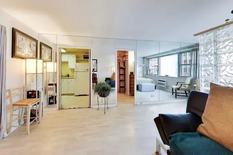 Living - 253 E Delaware Pl #12E, Chicago, IL 60611 photo 2 of 3