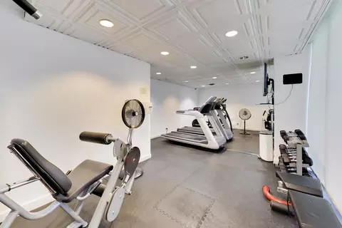Other - 253 E Delaware Pl #12E, Chicago, IL 60611 photo 10 of 23