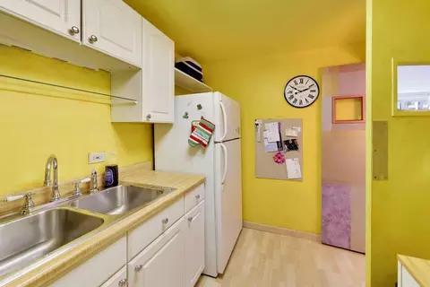 Kitchen - 253 E Delaware Pl #12E, Chicago, IL 60611 photo 3 of 4