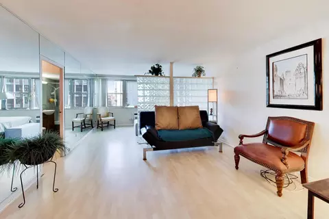 Living - 253 E Delaware Pl #12E, Chicago, IL 60611 photo 1 of 3