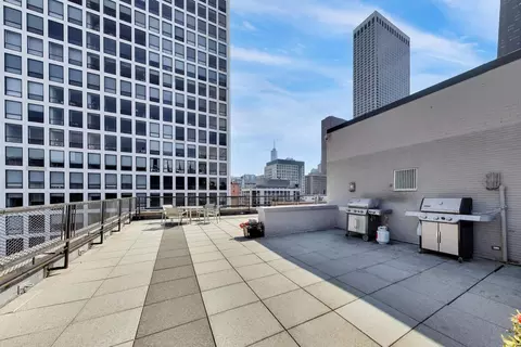 Other - 253 E Delaware Pl #12E, Chicago, IL 60611 photo 15 of 23