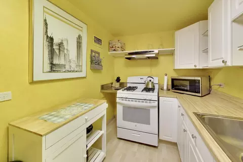 Kitchen - 253 E Delaware Pl #12E, Chicago, IL 60611 photo 2 of 4