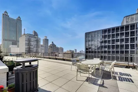 Other - 253 E Delaware Pl #12E, Chicago, IL 60611 photo 16 of 23