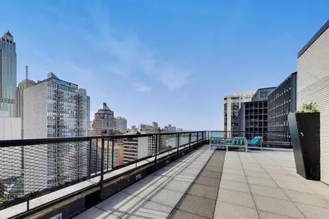 View/Area - 253 E Delaware Pl #12E, Chicago, IL 60611 photo 2 of 4