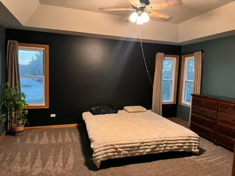 Bedroom - 319 Mallards Cv, Beecher, IL 60401 photo 3 of 4