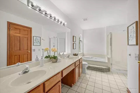 Bath - 476 Topaz Ln, Bartlett, IL 60103 photo 1 of 4