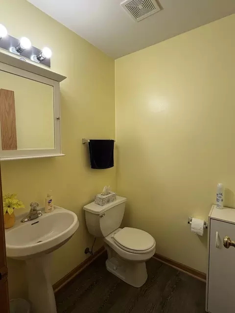 Bath - 641 Chestnut Rdg, Minooka, IL 60447 photo 1 of 4