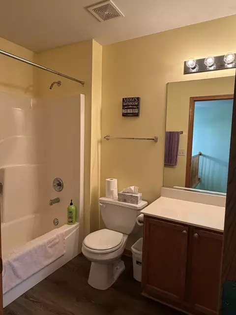 Bath - 641 Chestnut Rdg, Minooka, IL 60447 photo 3 of 4