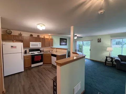 Kitchen - 641 Chestnut Rdg, Minooka, IL 60447 photo 4 of 4