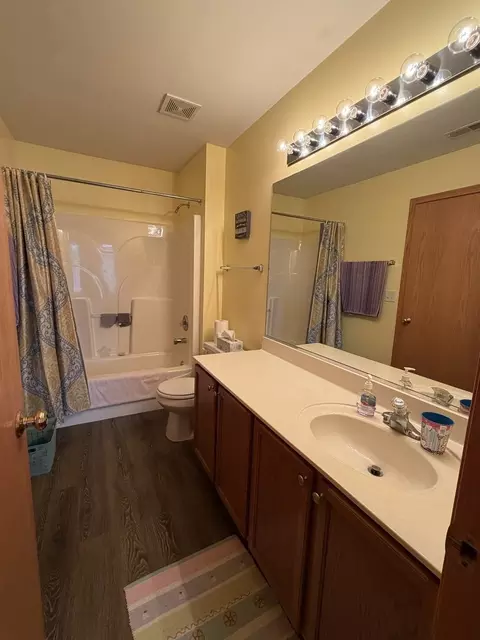 Bath - 641 Chestnut Rdg, Minooka, IL 60447 photo 2 of 4
