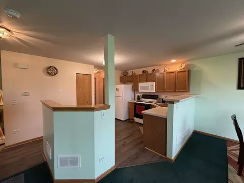 Kitchen - 641 Chestnut Rdg, Minooka, IL 60447 photo 2 of 4