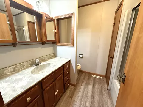 Bath - 201 Helen St, Christopher, IL 62822 photo 2 of 2